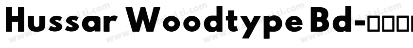 Hussar Woodtype Bd字体转换
